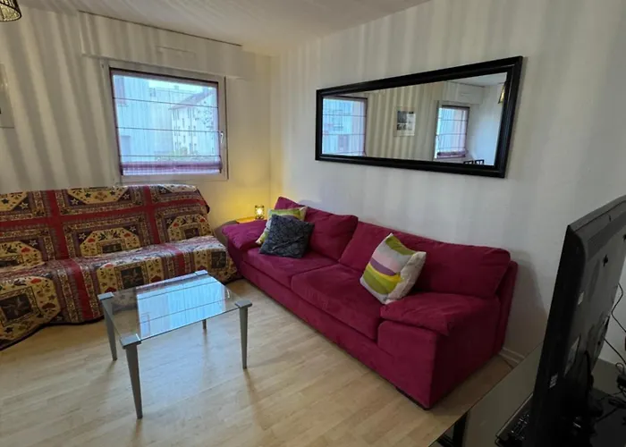 4 Personnes 50 M2 Idealement Situe A Strasbourg